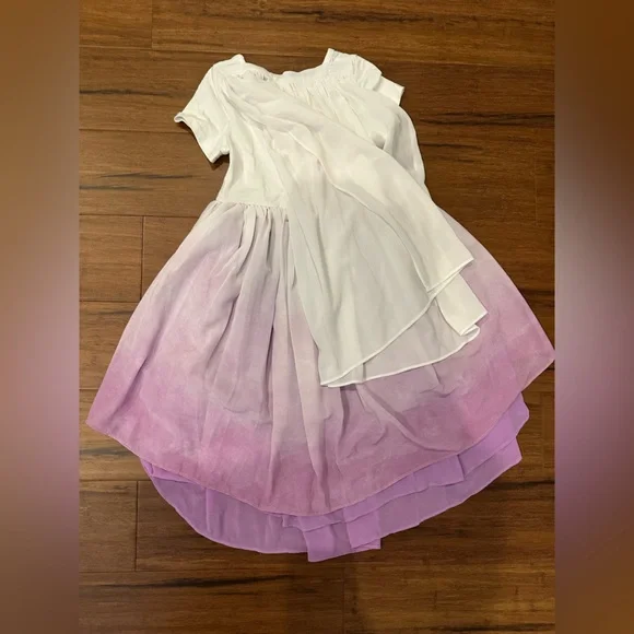 Taylor Joelle Disney Elsa with cape size 4 Ombré Layered Dress HTF - Picture 4 of 4